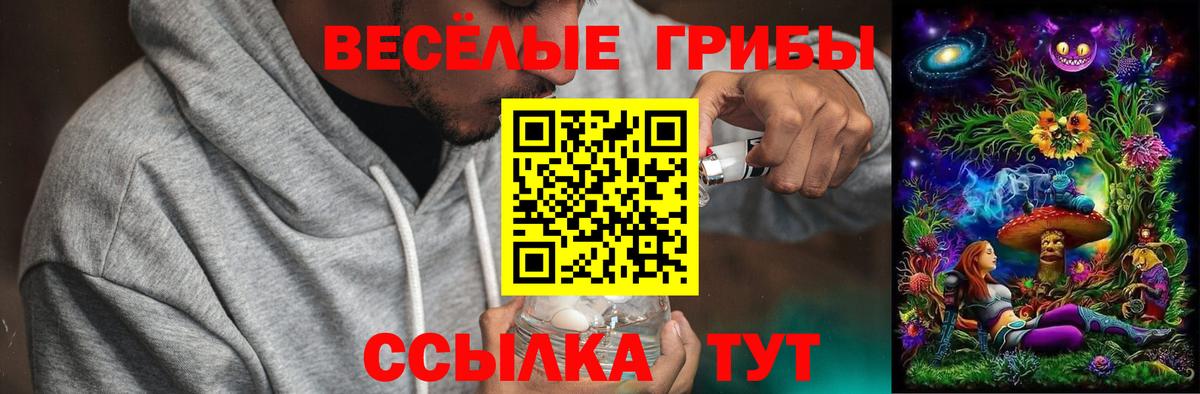 Галлюциногенные грибы прущие грибы Рославль